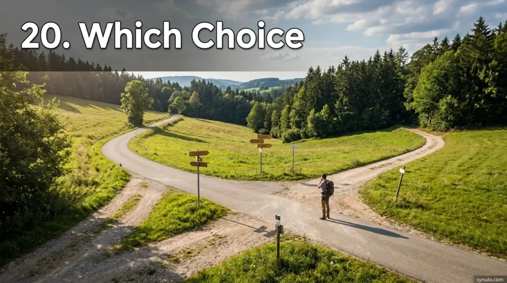 20. Which Choice