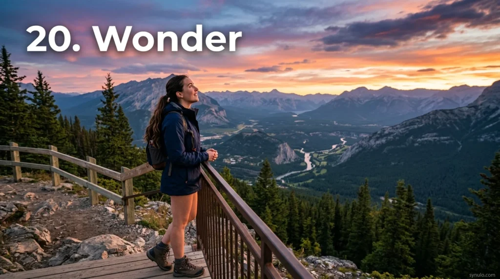 20. Wonder