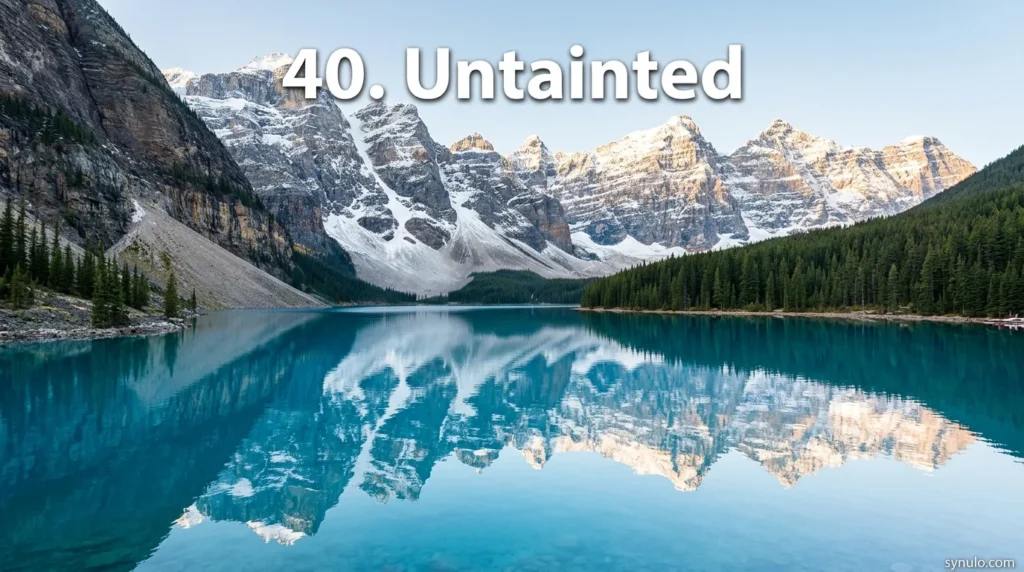 40. Untainted